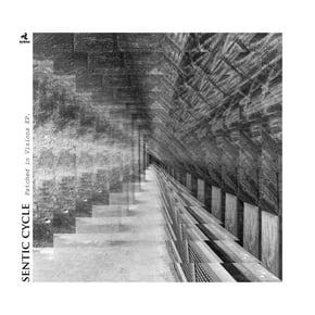 Patched in Visions EP by Sentic Cycle Cover Art