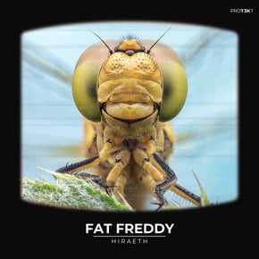 Fat Freddy by Hiraeth Cover Art