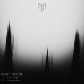 Sinestetic EP by Funkware Cover Art