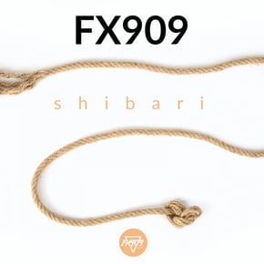 Shibari by MSDOS & FX909 Cover Art