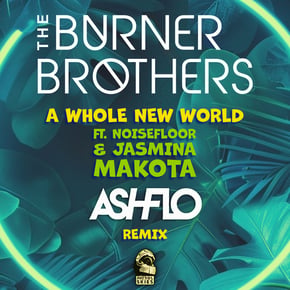 A Whole New World (Remix) by The Burner Brothers Cover Art
