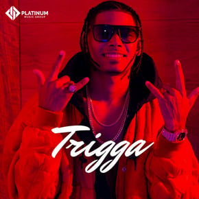 Trigga by Trigga Cover Art