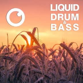 Liquid Drum & Bass Sessions #48 by Dreazz Cover Art
