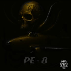 Pe-8 by XNX Cover Art