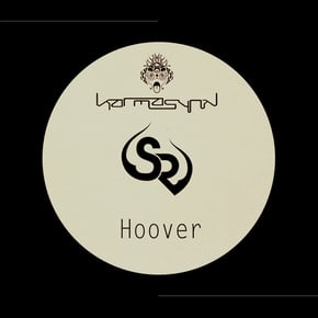 Hoover by KarmasynK Cover Art