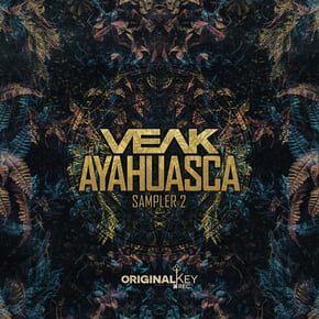 Ayahuasca Sampler 2 by DJ Direkt & Veak Cover Art