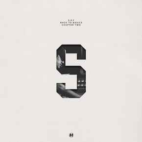 Back To Basics Chapter Two by S.P.Y Cover Art