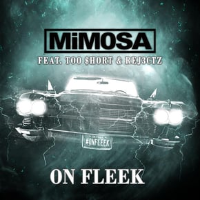 On Fleek by MiM0SA Cover Art