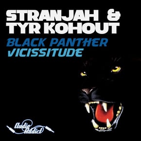 Black Panther / Vicissitude by STRANJAH & Tyr Kohout Cover Art