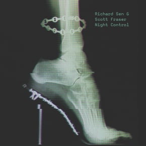 Night Control by Richard Sen Cover Art