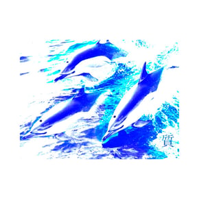 Dolphin by Tiknology Cover Art