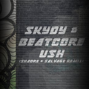 Ush (Shadre, Salvage Remix) by Shadre, Salvage, SkyDy & Beatcore Cover Art