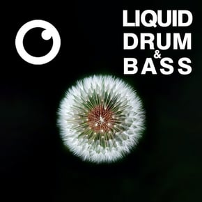 Liquid Drum & Bass Sessions #51 by Dreazz Cover Art