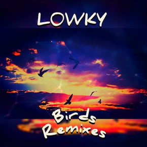 Birds Remixes by L0WKY Cover Art