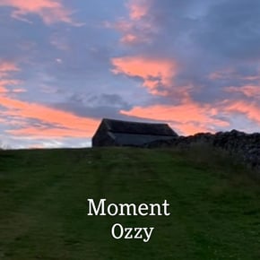Moment by Ozzy Cover Art