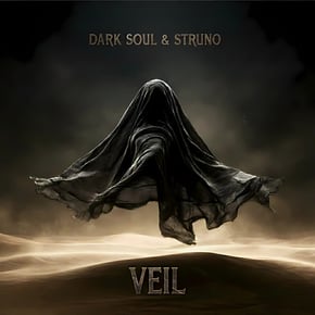 VEIL by Dark Soul Cover Art