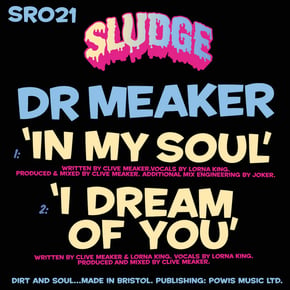 In My Soul by Dr Meaker Cover Art