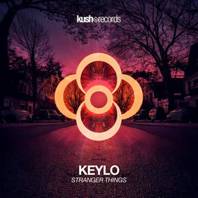 Stranger Things by Keylo Cover Art