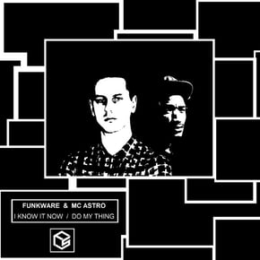 I Know It Now, Do My Thing by Funkware Cover Art