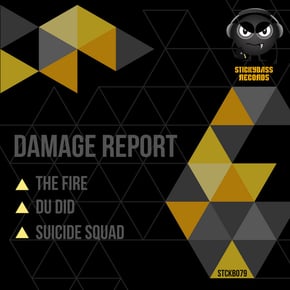 The Fire by Damage Report Cover Art