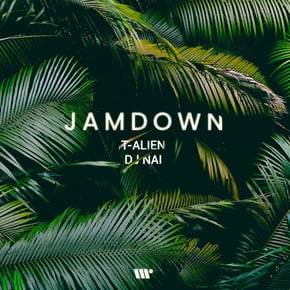 Jamdown by DJ Nai Cover Art