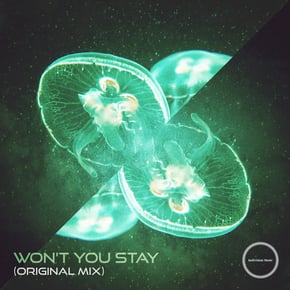 Won't You Stay by Indivision Cover Art
