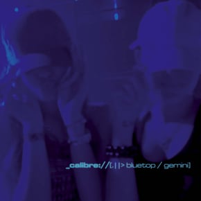 Bluetop / Gemini by Calibre Cover Art