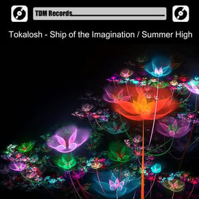 Ship of the Imagination / Summer High by Tokalosh Cover Art