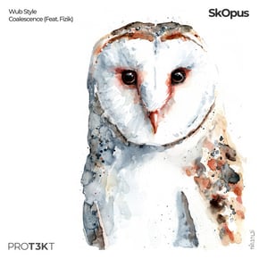 Wub Style/Coalescence by SkOpus Cover Art