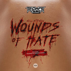 Wounds of Hate by TriaMer & Nagato Cover Art
