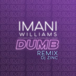 Dumb (feat. Tiggs Da Author & Belly Squad) [DJ Zinc Remix] by DJ Zinc Cover Art