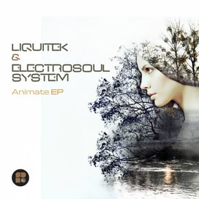 Animate EP by Electrosoul System Cover Art