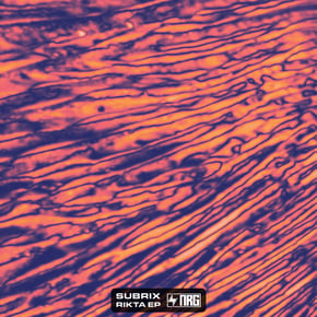 Rikta EP by Subrix Cover Art