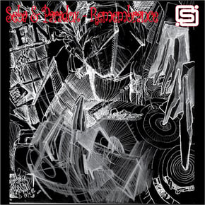 Remembrance by Seba & Paradox Cover Art