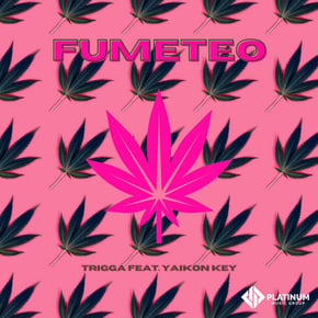 Fumeteo by Trigga Cover Art