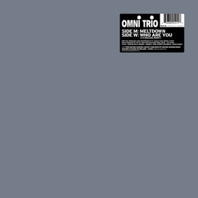 Meltdown / Who Are You? (E-Z Rollers Remix) by Omni Trio Cover Art