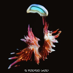 I Found You (Prospa Remix) by Sub Focus Cover Art