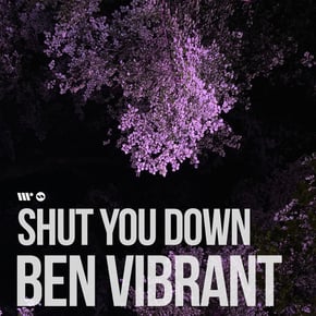 Shut You Down by Ben Vibrant Cover Art