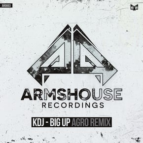 Big Up (Agro Remix) by Agro Cover Art