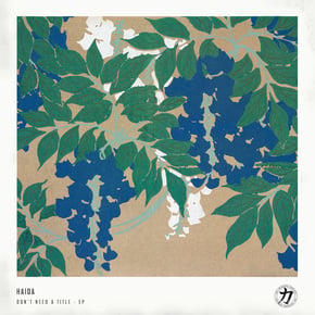 Don't Need A Title by LSB & Haida Cover Art