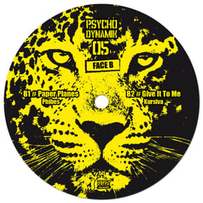 Psychodynamik 05 by Aphrodite Cover Art