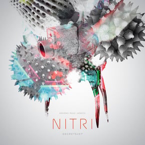 Secrets by Nitri Cover Art