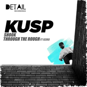 Shook by Kusp Cover Art