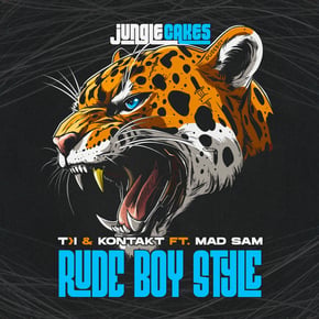 Rude Boi Style by T>I Cover Art