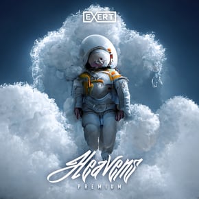 Heavens by Premium Cover Art