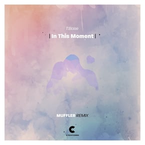In This Moment (Muffler Remix) by T:Base Cover Art