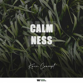 Calmness by Kaii Concept Cover Art