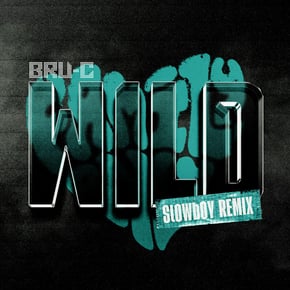Wild (Slowboy Remix) by Bru-C Cover Art