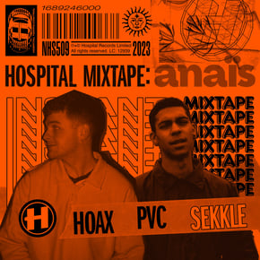 Sekkle by Hoax Cover Art