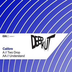 Two Drop / Understand by Calibre Cover Art